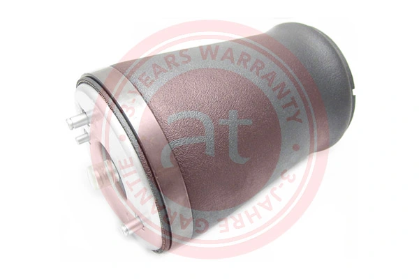 Air Spring, suspension
